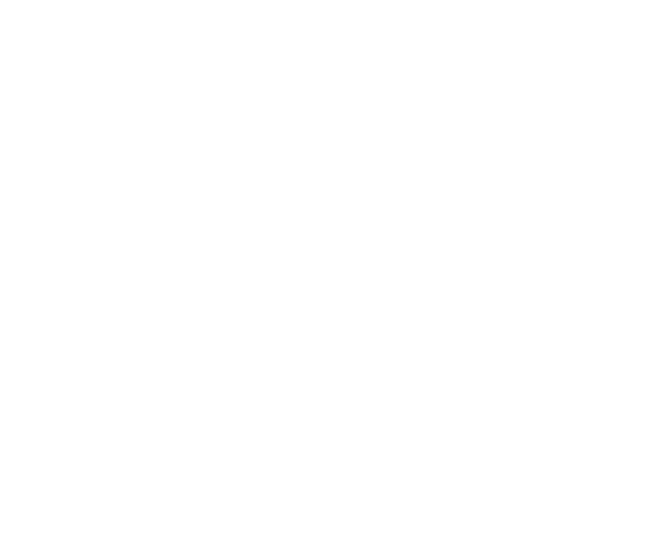 Stone Anniversary Ales