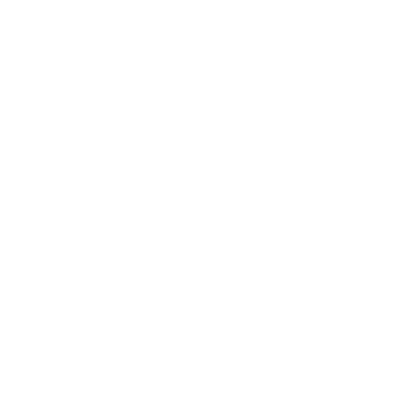 Stone Mission Warehouse Sour - Apricot