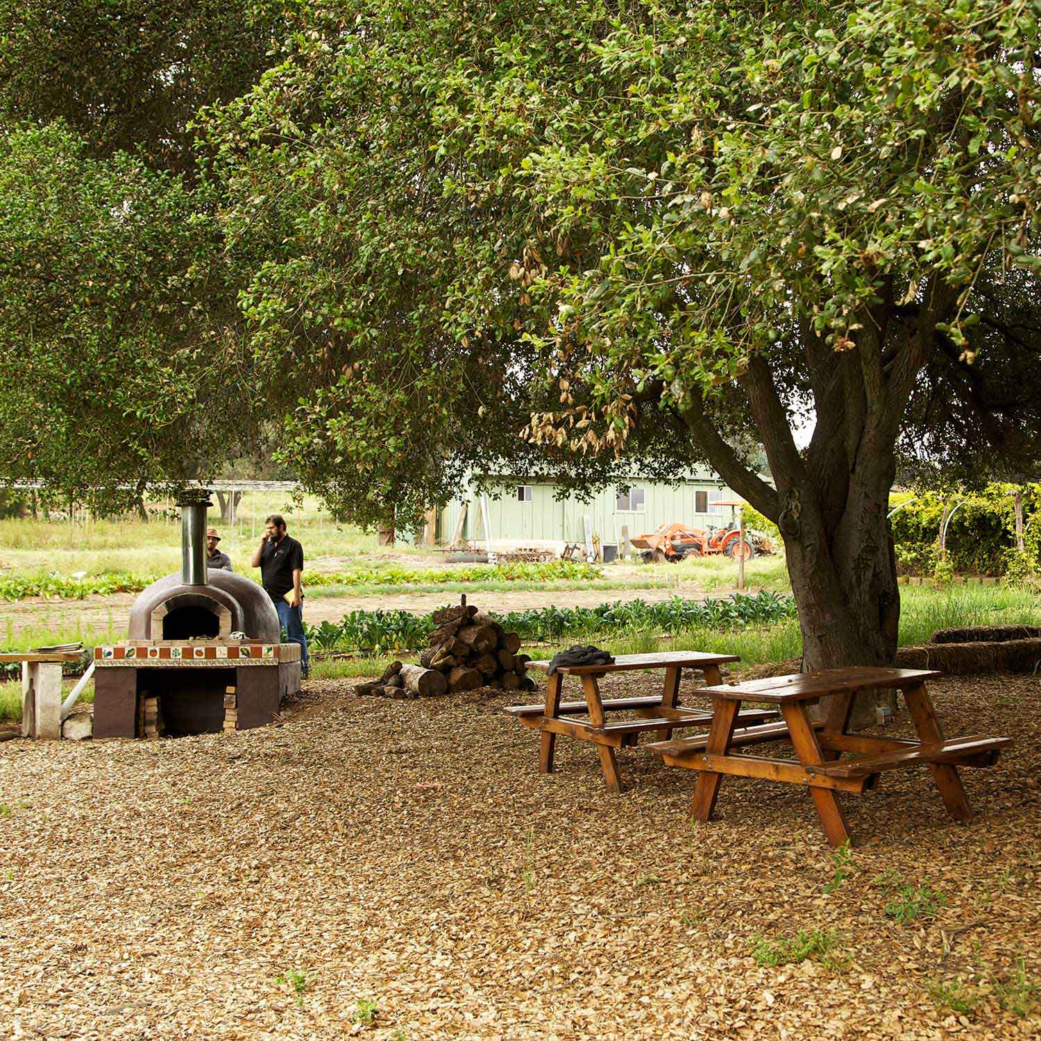 Outdoor picnic tables and trees