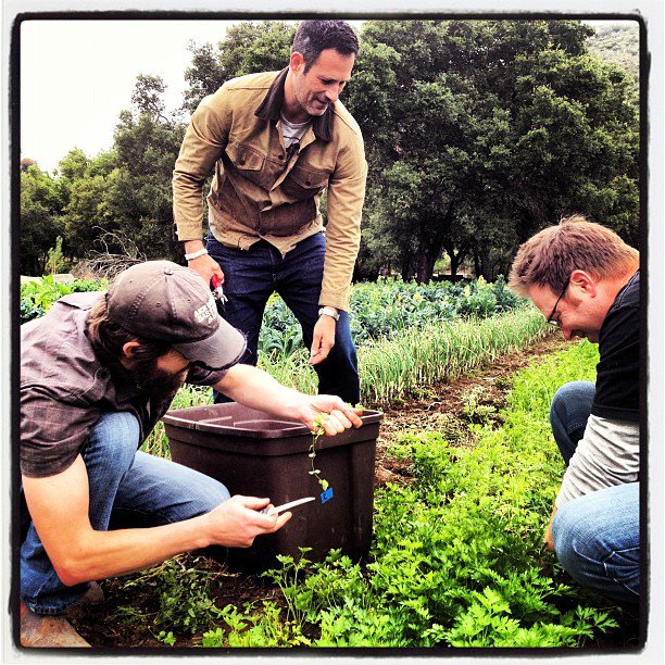 Sam, Bill, and Greg picking herbs at Stone Farms for the 2012 Dogfish Head / Victory / Stone Saison du BUFF
