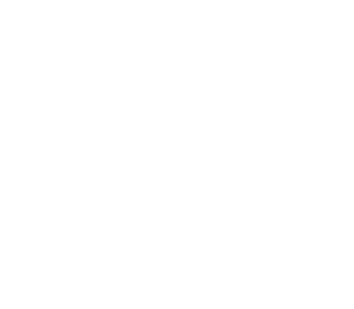 Stone Chill Villain IPA