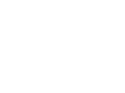 Stone Spotlight Series