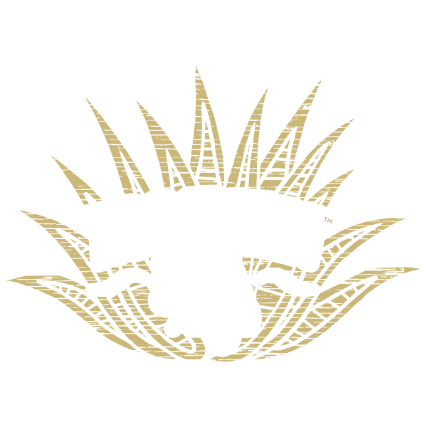 Xocoveza Extra Añejo