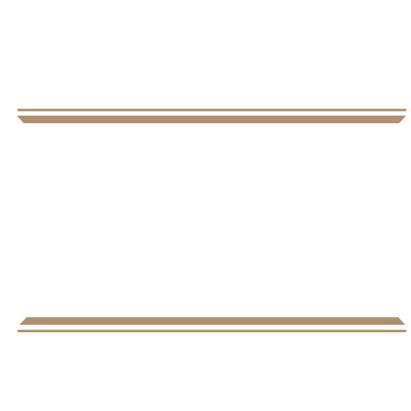 Dogfish Head / Victory / Stone Saison du BUFF