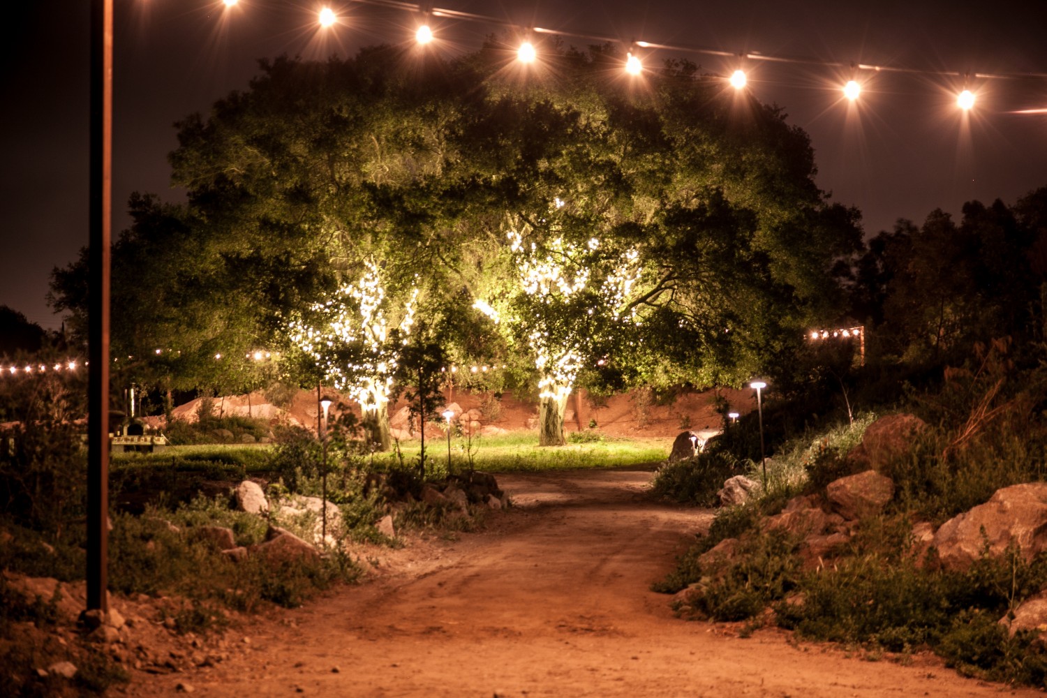 the farm at night