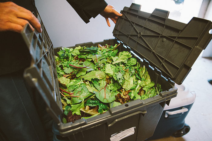 greens in a bin