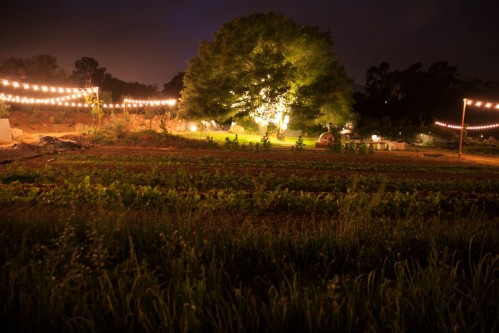 stone farms at night