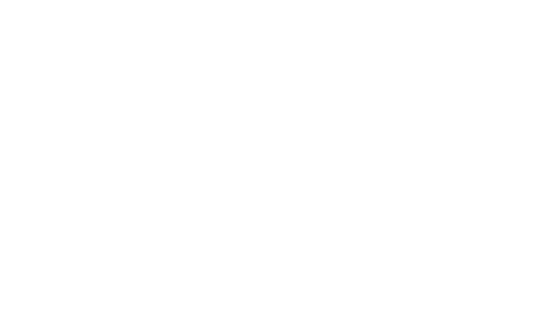 Stone Brewing Small Batch Release