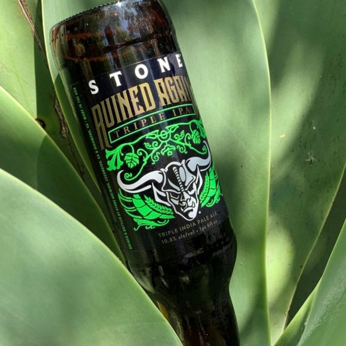 beer bottle in leaves