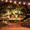 the farm at night