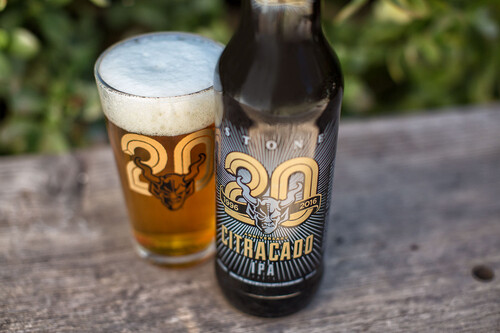 glass and bottle of Stone 20th Anniversary Citracado IPA