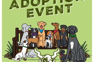 dog adoption event