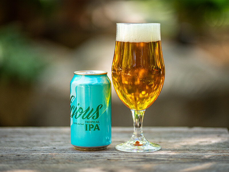 stone delicious tropical ipa