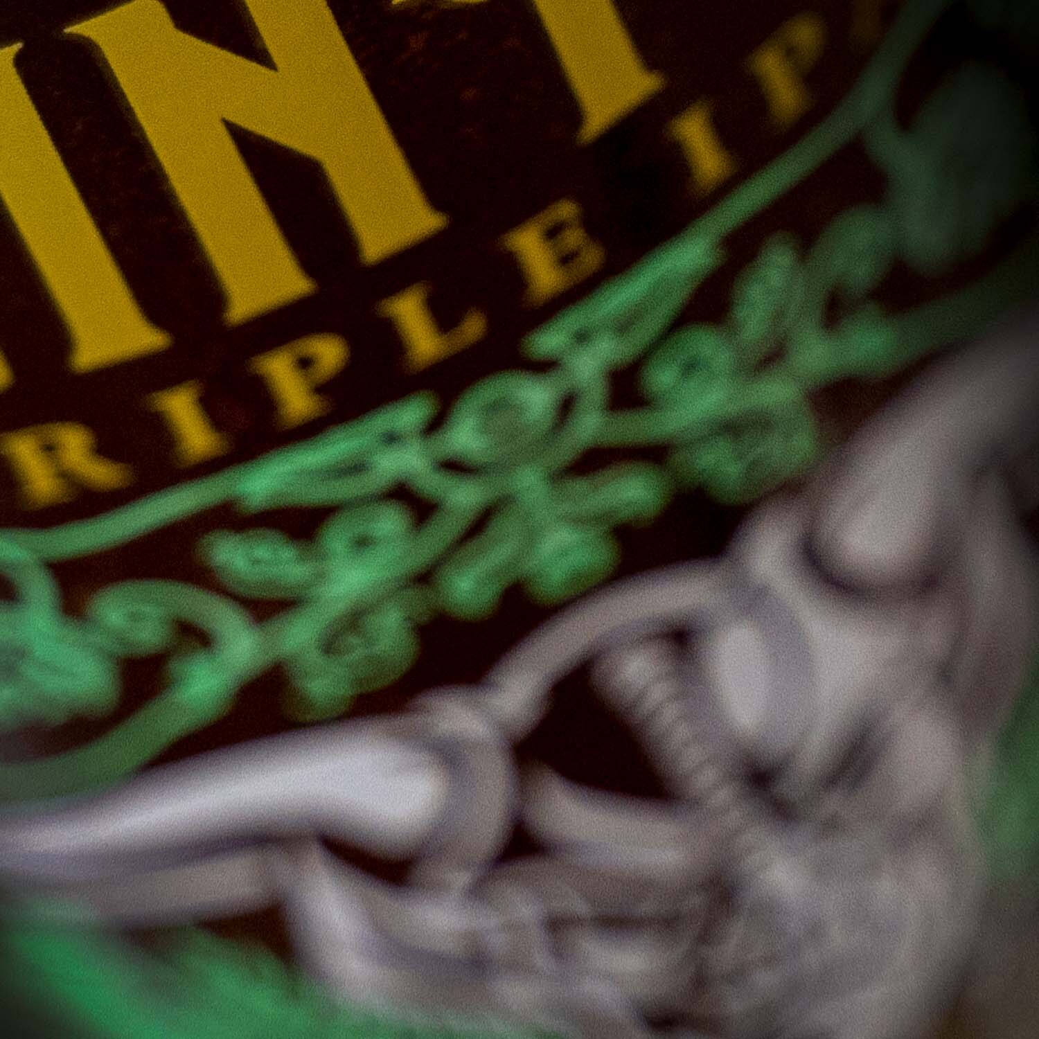 Stone RuinTen Triple IPA close-up