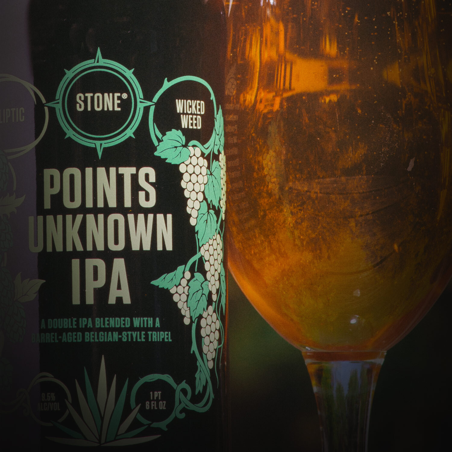 Close up on Points Unknown IPA