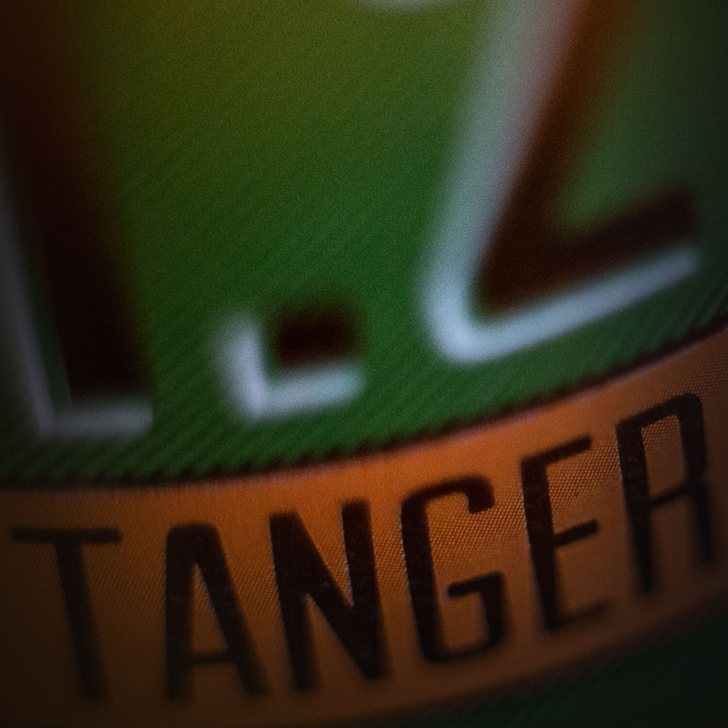 Stone Enjoy By 07.25.16 Tangerine IPA close-up