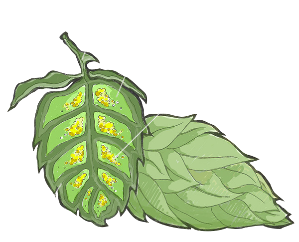 Diagram of a hop