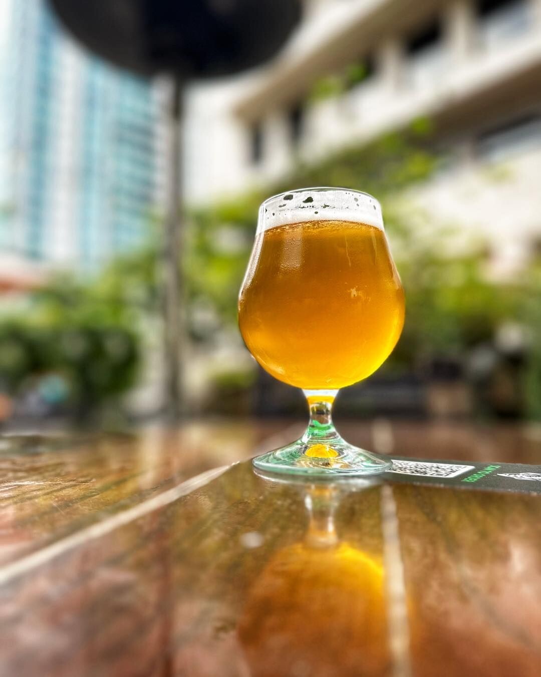a glass of a hazy ipa on a table in the lush gardens of the stone brewing tap room kettner in downtown little italy san diego
