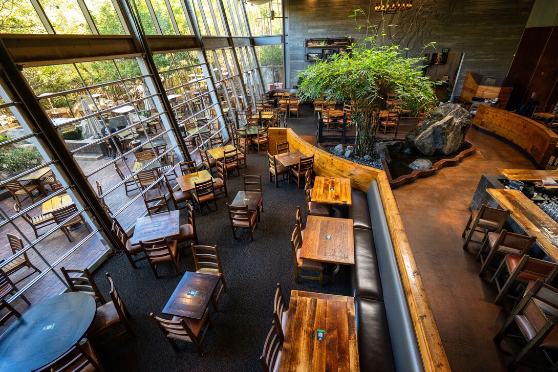 stone brewing escondido