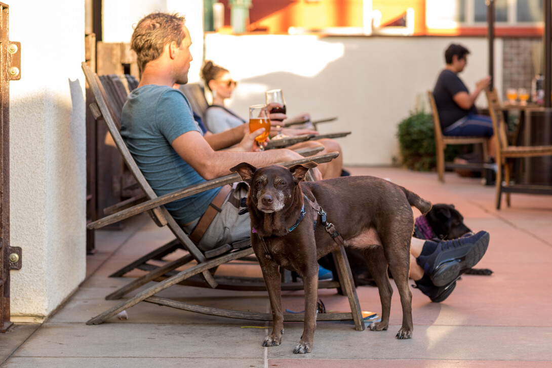 stone brewing tap room - pasadena