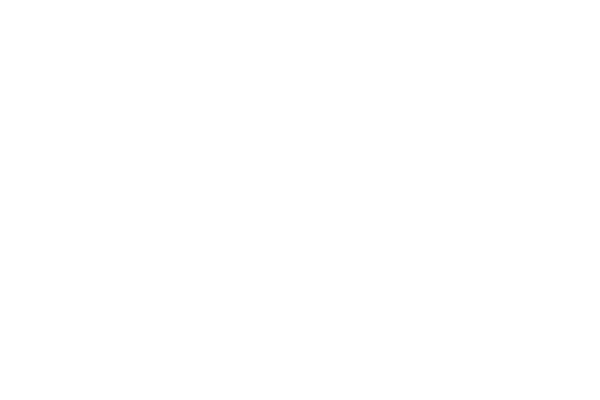 Stone Brewing Tasting Experience